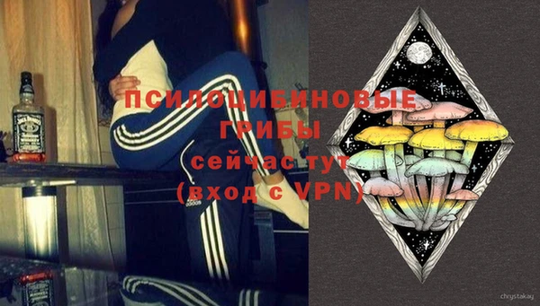 PSILOCYBIN Сосновый Бор